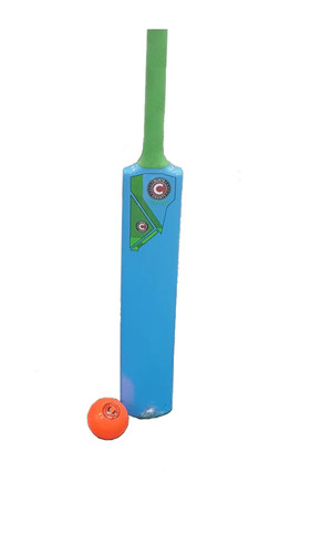 Hunts county flik cricket - hunts, bat