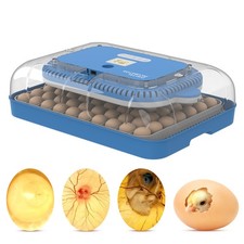 70 Eggs Incubator 3-IN-1