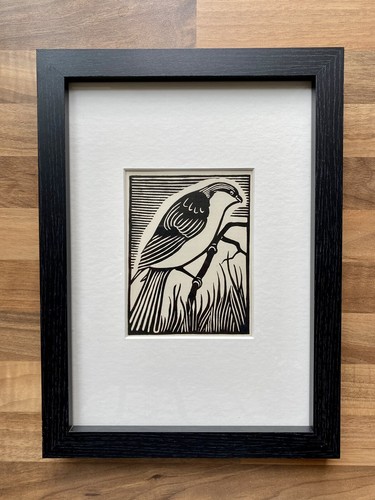 Red backed shrike - ‘red-backed, shrike’-