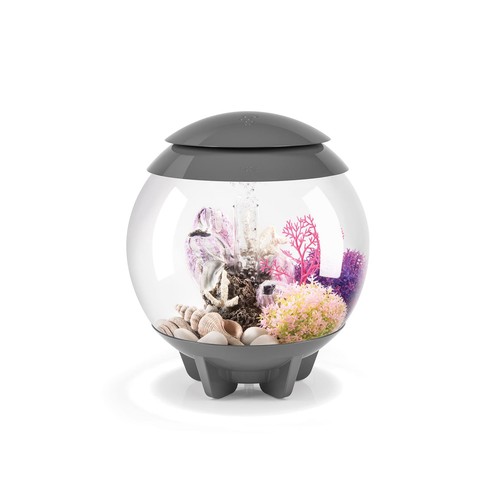 Biorb halo aquarium - halo, fish