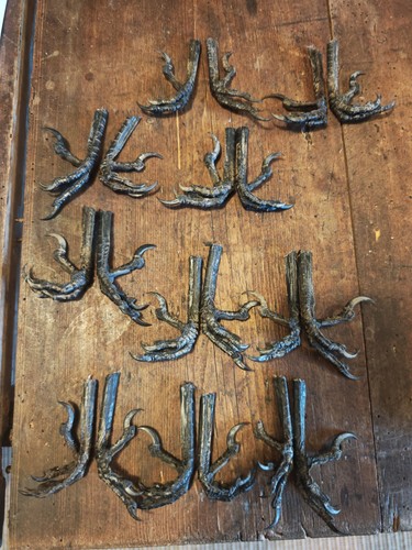 Pairs crow feet - crow,