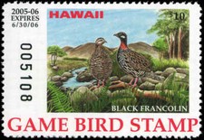HAWAII #10A 2005 STATE DUCK
