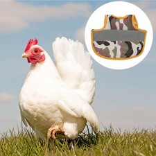  Dog Costumes Chicken Outfit