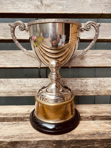 Silver trophy - trophy, |
