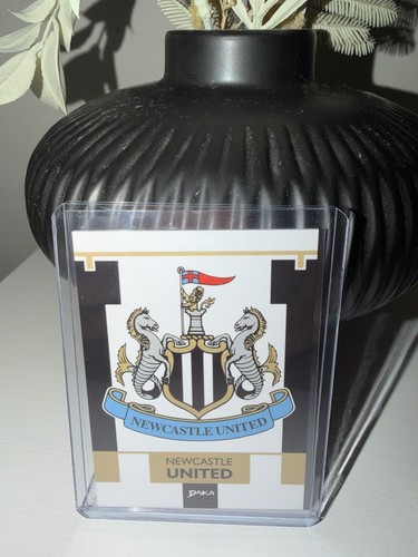 Newcastle united daka - united, 24/25