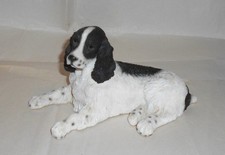 Leonardo Cocker Spaniel Dog