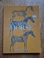 The Anatomy of the Horse