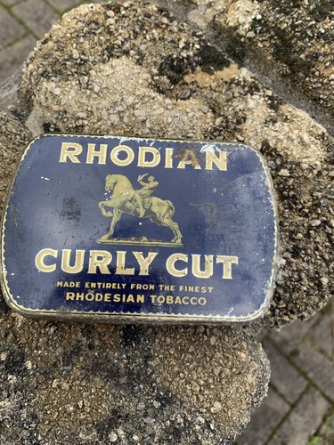Vintage rhodian curly - vintage, cut
