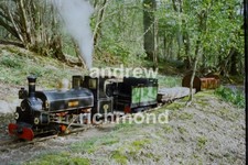 Miniature Railway Steam