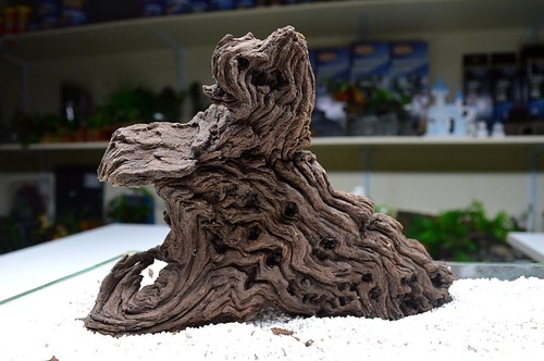 Small mopani wood for nano - wood,