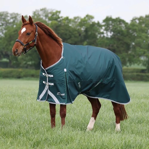 Shires highlander original - highlander,