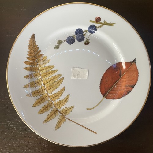 Royal worcester wild harvest - worcester,
