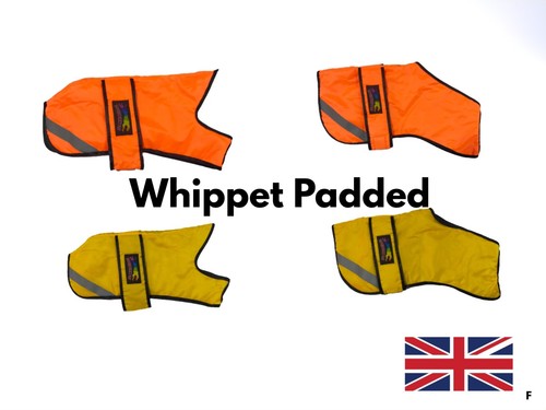 Pet dog waterproof - waterproof, wram