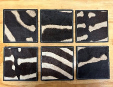 Set of 6 Equus Burchell real