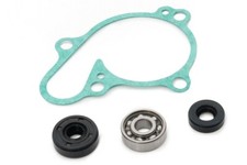 AS3 WATER PUMP REPAIR KIT for
