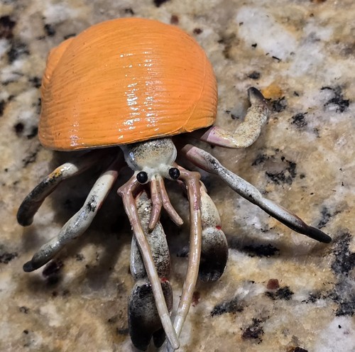 Land crab witg orange - witg,