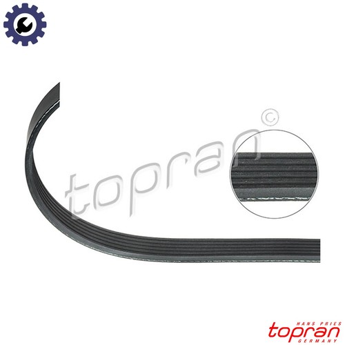Vribbed belt 207 892 for - vribbed,