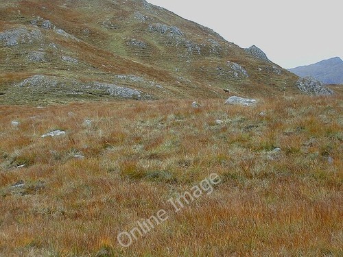 Photo 6x4 the bealach - 6x4, na