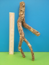CORK BARK BRANCH 41CM SNAKE