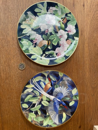 Wedgwood tropical bird plate - wedgwood,