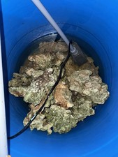 1kg Marine Live Rock Wet Multi-Buy Offer Available 