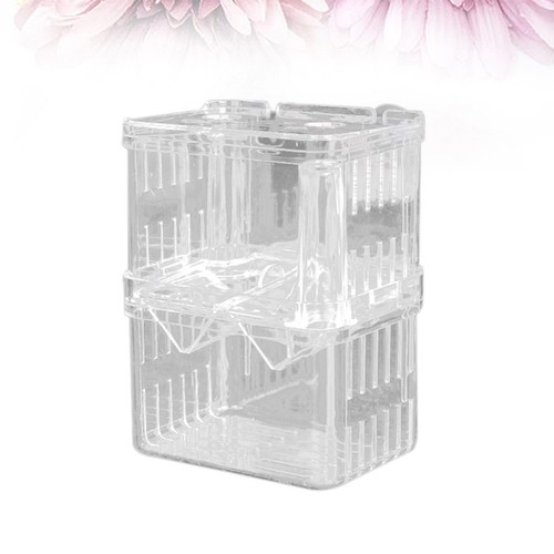 Fish fry breeder - fish,