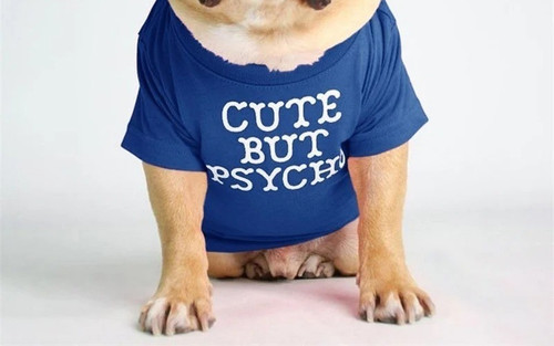 Pet dog cat clothes summer - clothes,