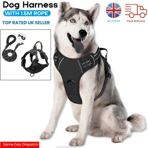 Dog harness pull for small - dog,
