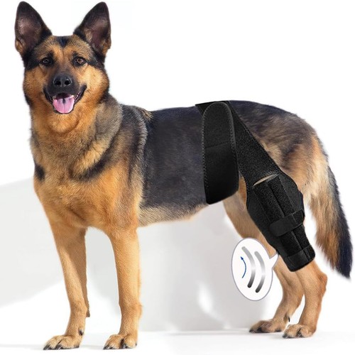 Adjustable dog knee brace - knee, for