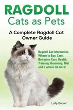 Ragdoll Cats as Pets Ragdoll
