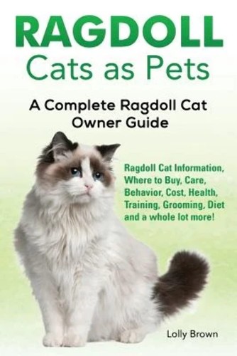 Ragdoll cats pets - ragdoll,