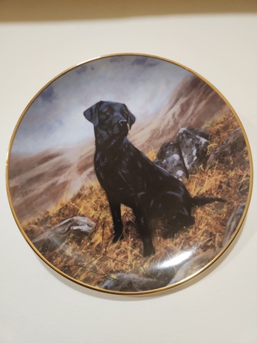 Vintage royal doulton - vintage,
