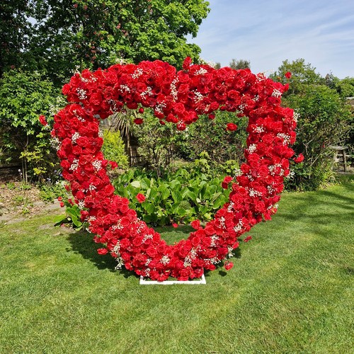 Stunning heart shaped - ✨,