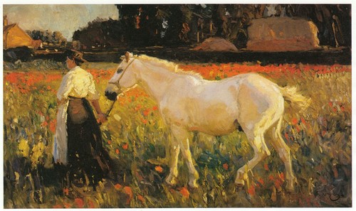 Poppyfield sir alfred - poppyfield,