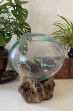 Molten Glass On Wood Large Sculptural Bowl Hydro Culture Open Terrarium O.O.A.K