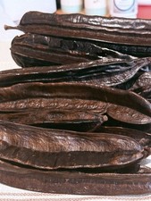 11 Large pods prekese, Aidan