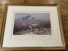 David Shepherd Lonely Vigil  Snow Leopard Signed Limited Edition Framed Print 
