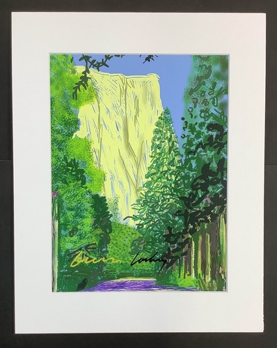 Matted print 11x14 inch - print,