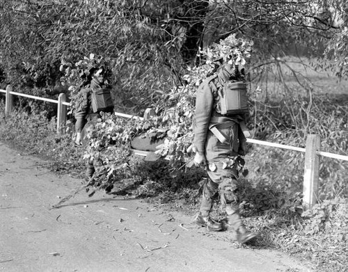 Heavily camouflaged stretcher