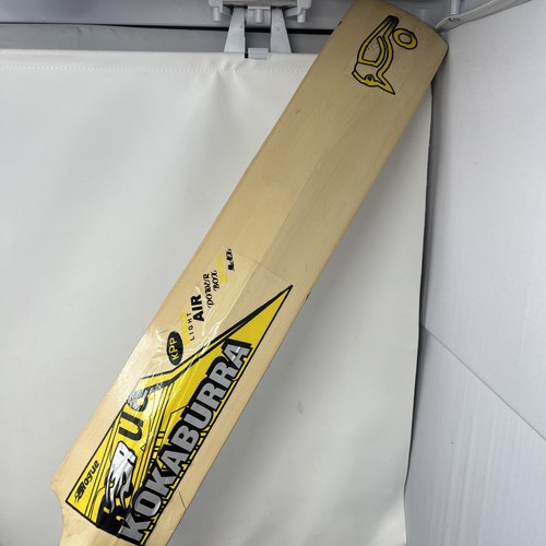 Kookaburra rogue 850 big - kookaburra,