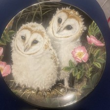 Barn Owl Chicks ~ The Baby Owls ~  Wedgwood Bone China Plate