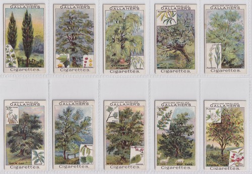 Cigarette cards woodland - cigarette,