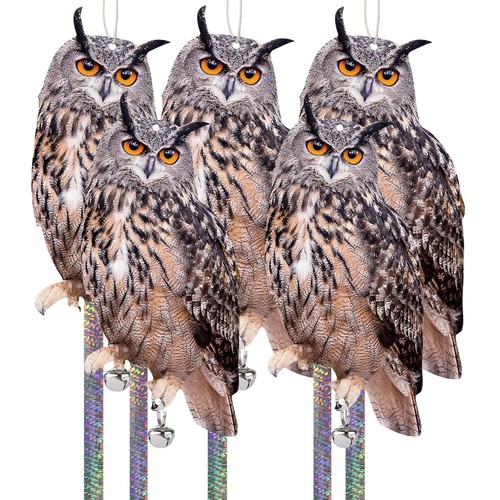 Owl bird scarer roofs - owl,