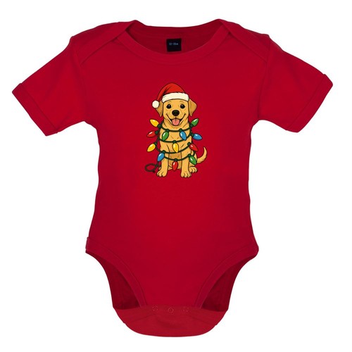 Golden labrador retriever - golden,