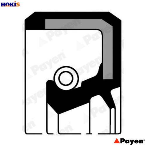 Shaft seal crankshaft nj242 - shaft,