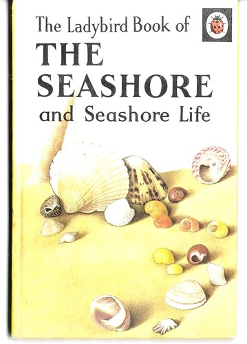 Ladybird the seashore - ladybird,