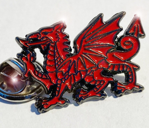 Large welsh dragon top - -,