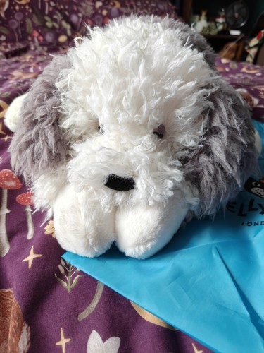 Jellycat genuine am floofie - am,