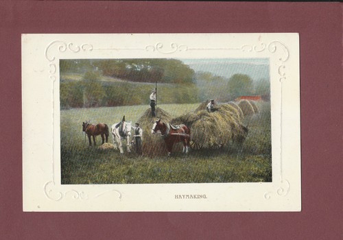 Farming haymaking loading - farming., haymaking.