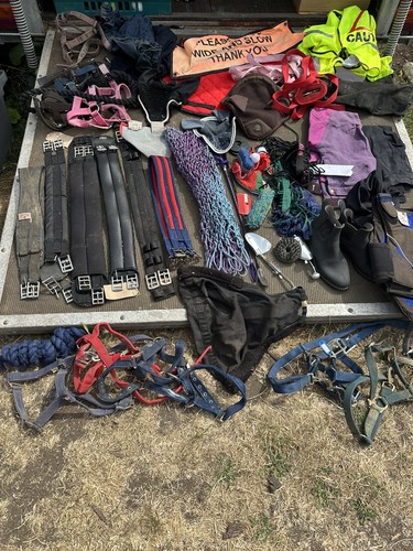 Job lot assorted horse - job, /